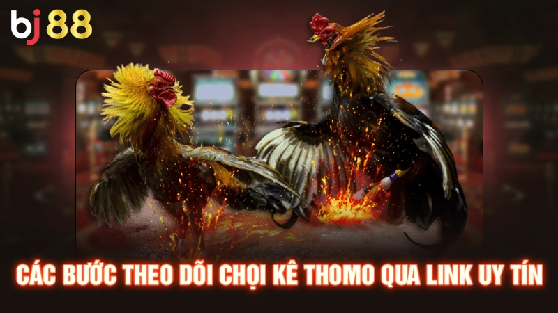 Link Trực Tiếp Đá Gà Thomo - Cập Nhật Nhanh, Xem Mượt Mà 3 Các bước theo dõi chọi kê thomo qua link uy tín
