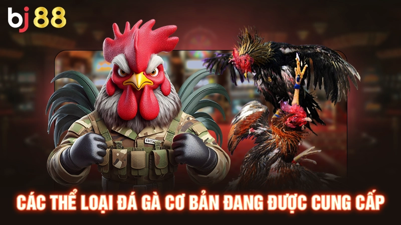 Trang Đá Gà Uy Tín Bj88 - Đảm Bảo An Toàn Chất Lượng Số 1 3 Thi đấu gà nòi tại trang đá gà uy tín