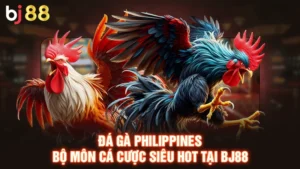 Đá Gà Philippines - Bộ Môn Cá Cược Siêu Hot Tại BJ88