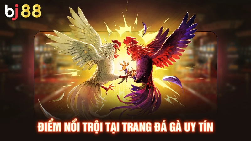 Trang Đá Gà Uy Tín Bj88 - Đảm Bảo An Toàn Chất Lượng Số 1 2 Trang đá gà uy tín thành toán siêu tốc