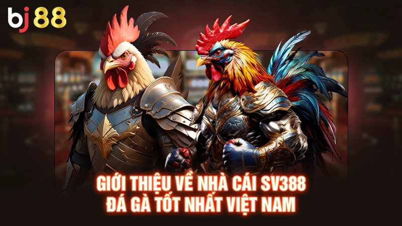 SV388 Đá Gà Tốt Nhất Việt Nam Đáng Trải Nghiệm Nhất 2025 1 Giới thiệu về nhà cái SV388 đá gà tốt nhất Việt Nam