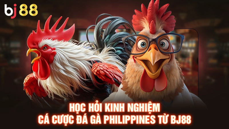 Đá Gà Philippines - Bộ Môn Cá Cược Siêu Hot Tại BJ88 3 Học hỏi kinh nghiệm cá cược đá gà Philippines từ BJ88