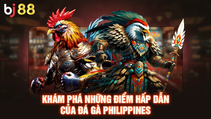 Đá Gà Philippines - Bộ Môn Cá Cược Siêu Hot Tại BJ88 2 Khám phá những điểm hấp dẫn của đá gà Philippines