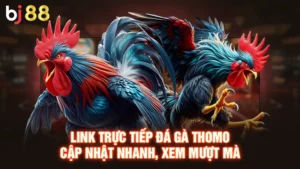 Link Trực Tiếp Đá Gà Thomo - Cập Nhật Nhanh, Xem Mượt Mà