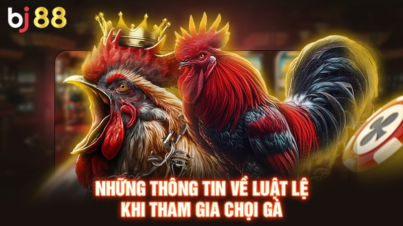 Đá Gà 179 - Theo Dõi Chọi Kê Mỗi Ngày, Cá Cược Thưởng Lớn 2 Những thông tin về luật lệ khi tham gia chọi gà