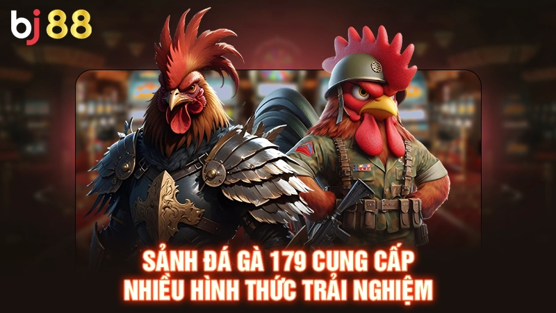 Đá Gà 179 - Theo Dõi Chọi Kê Mỗi Ngày, Cá Cược Thưởng Lớn 1 Sảnh đá gà 179 cung cấp nhiều hình thức trải nghiệm