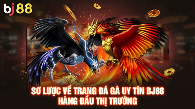 Trang Đá Gà Uy Tín Bj88 - Đảm Bảo An Toàn Chất Lượng Số 1 1 Tìm hiểu về trang đá gà uy tín