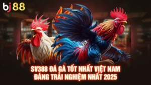SV388 Đá Gà Tốt Nhất Việt Nam Đáng Trải Nghiệm Nhất 2025