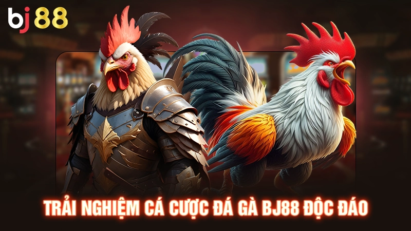 Trải nghiệm cá cược đá gà BJ88 độc đáo