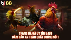Tìm hiểu về trang đá gà uy tín