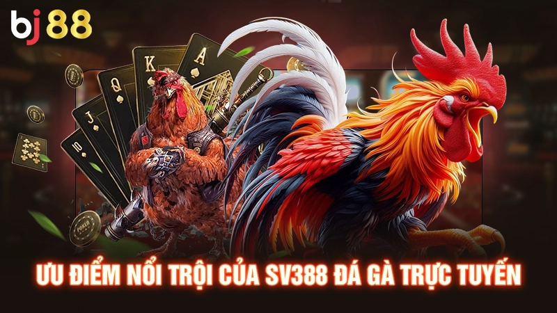 SV388 Đá Gà Tốt Nhất Việt Nam Đáng Trải Nghiệm Nhất 2025 2 Ưu điểm nổi trội của SV388 đá gà trực tuyến