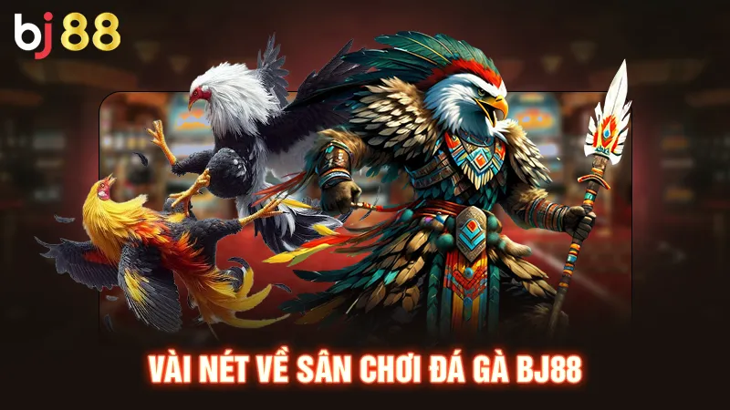 Vài nét về sân chơi đá gà BJ88